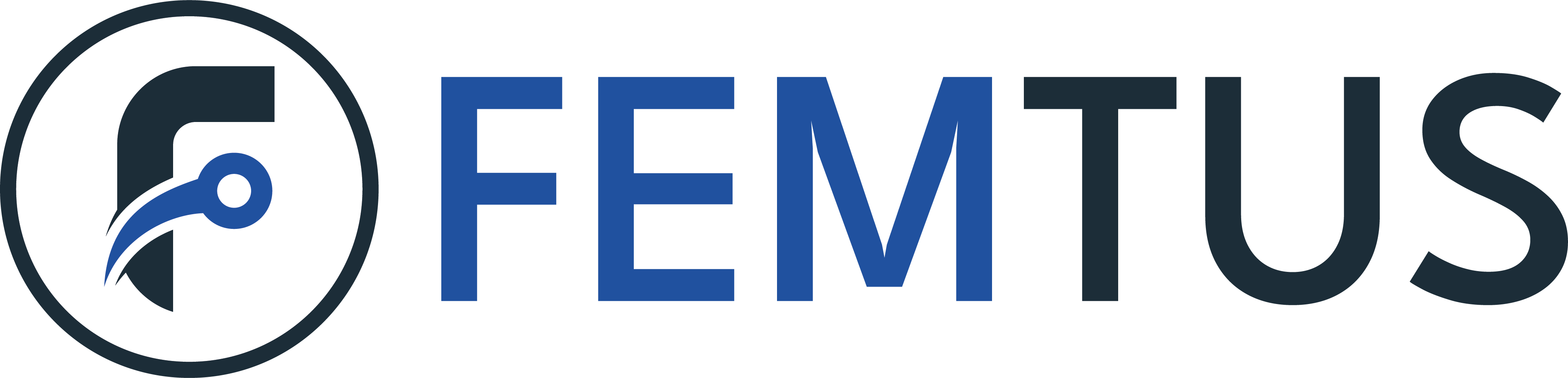 Femtus Solutions Logo